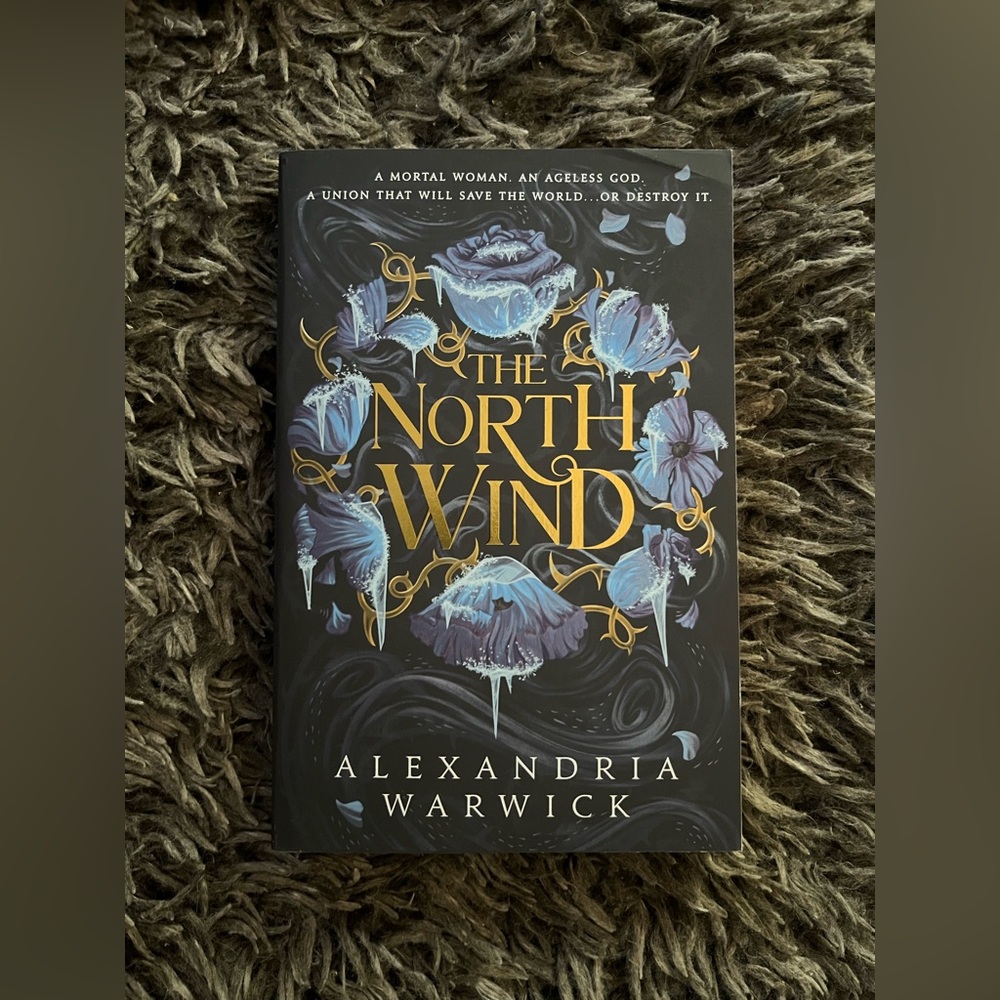 The North Wind by Alexandria Warwick - Paperback Book